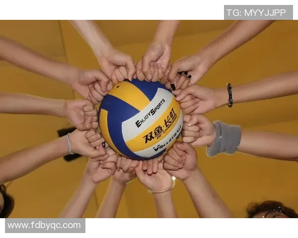 广州排球队在锦标赛中的实力展现与未来发展潜力分析