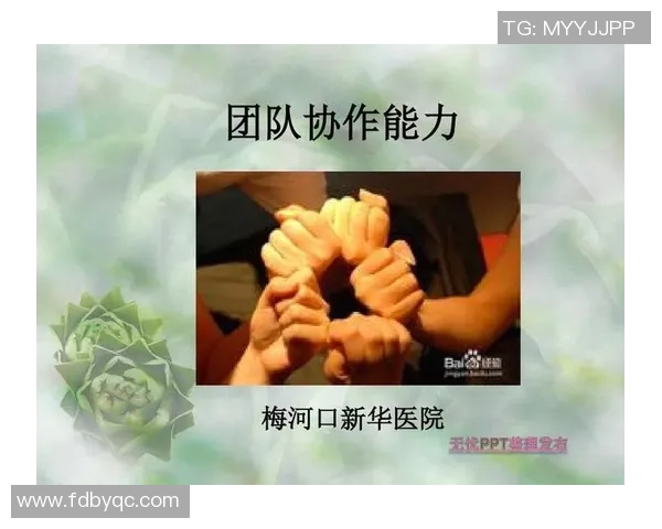 杭州飞盘队配合表现数据分析揭示团队协作与战术执行的关键因素