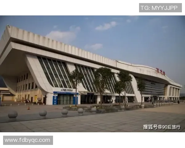 深入剖析杭州羽毛球队实力对比及其未来发展潜力