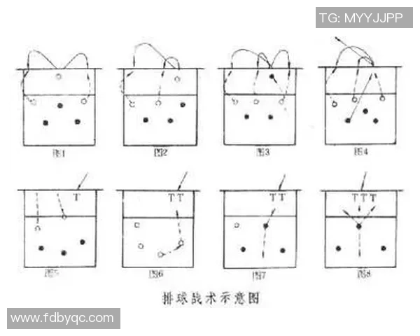深圳排球队反击战术分析与成绩反思探讨 深圳排球队反击战术分析与成绩反思探讨